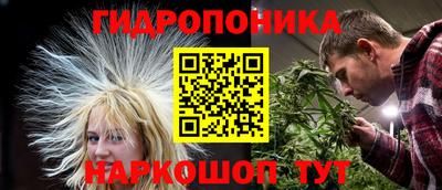 прущие грибы Рыбинск